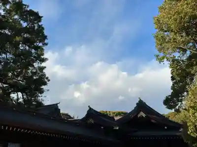 明治神宮(東京都)