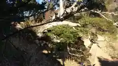 北野神社の自然