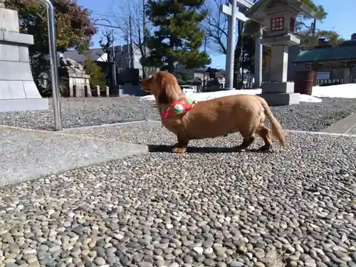 杉杜白髭神社(福井県)