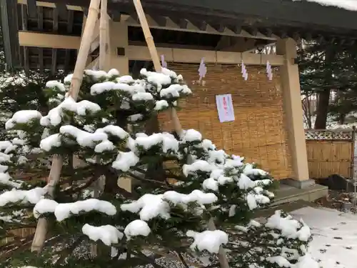 厚別神社の手水