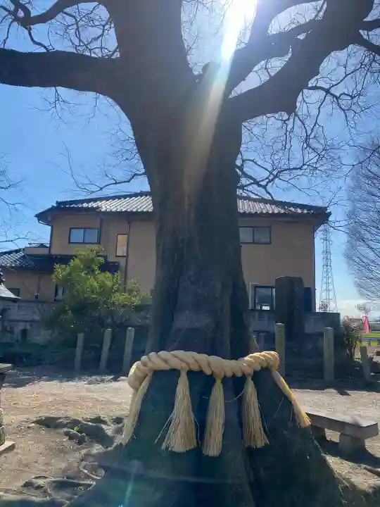 島田八坂神社の{uncategorized: "未分類", other: "その他", undefined: "問題あり", building: "その他建物", grave: "お墓", sacred_gate: "鳥居", guardian: "狛犬", statue: "像", buddha: "仏像", history: "歴史", nature: "自然", garden: "庭園", animal: "動物", pagoda: "塔", temizu: "手水舎", mountain_gate: "山門・神門", sanctuary: "本殿・本堂", subordinate: "末社・摂社", art: "芸術", scenery: "景色", jizo: "地蔵", ema: "絵馬", goshuin: "御朱印", omikuji: "おみくじ", items: "授与品その他", amulet: "お守り", goshuincho: "御朱印帳", eats: "食事", festival: "お祭り", votive_dance: "神楽", shichigosan: "七五三参", wedding: "結婚式", experience: "体験その他", initially: "初詣", around: "周辺", anti_infection: "感染症対策"}