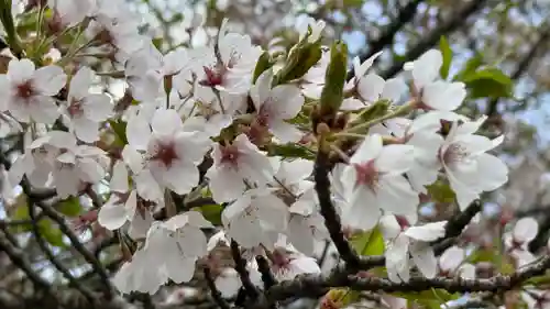 於呂閇志胆澤川神社(岩手県)