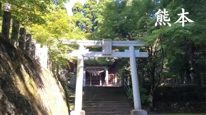 阿蘇神社の鳥居