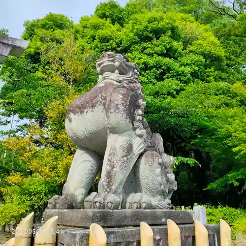 武田神社の狛犬