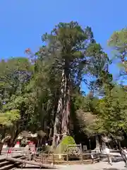 北口本宮冨士浅間神社(山梨県)