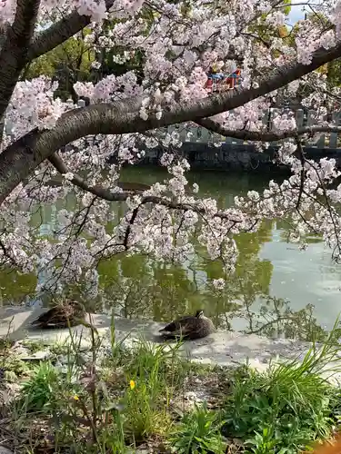 百舌鳥八幡宮の庭園