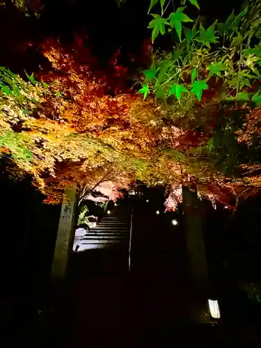 宝満宮竈門神社の自然