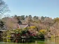 井の頭弁財天(大盛寺)(東京都)