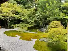 西来院(京都府)