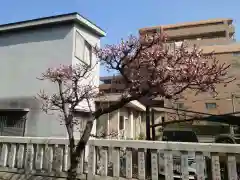 元郷氷川神社の建物その他