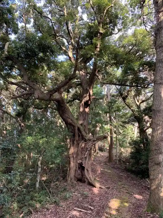 浅間神社のその他建物