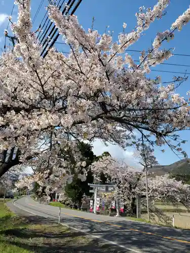 高司神社〜むすびの神の鎮まる社〜の自然