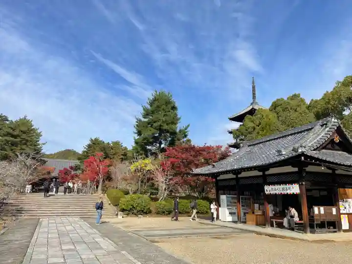 仁和寺(京都府)