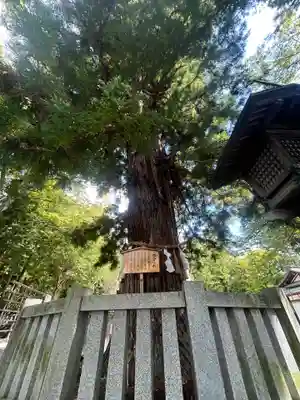 諏訪大社下社秋宮(長野県)