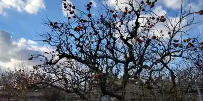 （中）天満神社(京都府)
