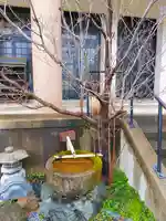 覚岸寺の手水舎