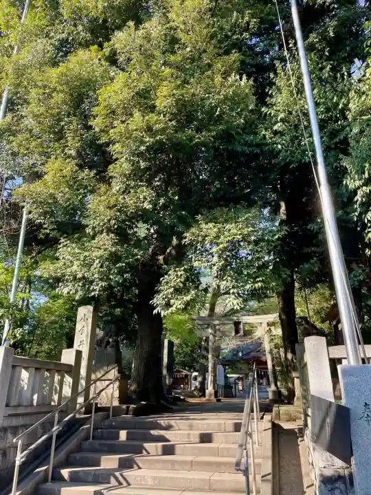小金井神社の{uncategorized: "未分類", other: "その他", undefined: "問題あり", building: "その他建物", grave: "お墓", sacred_gate: "鳥居", guardian: "狛犬", statue: "像", buddha: "仏像", history: "歴史", nature: "自然", garden: "庭園", animal: "動物", pagoda: "塔", temizu: "手水舎", mountain_gate: "山門・神門", sanctuary: "本殿・本堂", subordinate: "末社・摂社", art: "芸術", scenery: "景色", jizo: "地蔵", ema: "絵馬", goshuin: "御朱印", omikuji: "おみくじ", items: "授与品その他", amulet: "お守り", goshuincho: "御朱印帳", eats: "食事", festival: "お祭り", votive_dance: "神楽", shichigosan: "七五三参", wedding: "結婚式", experience: "体験その他", initially: "初詣", around: "周辺", anti_infection: "感染症対策"}