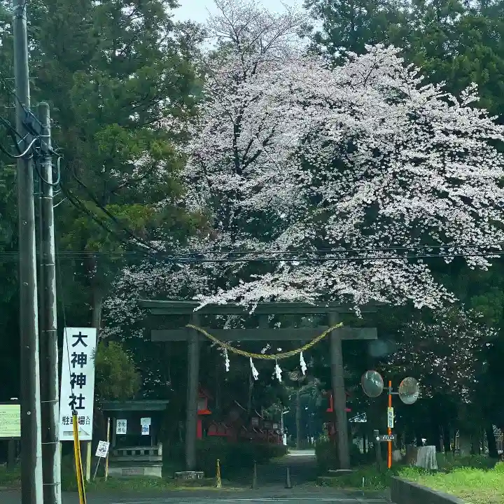 大神神社の自然