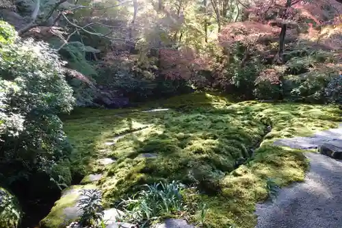 光明寺瑠璃光院の庭園