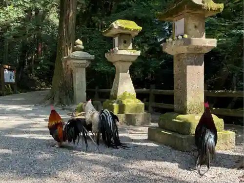 石上神宮(奈良県)