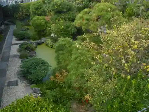 清浄寺の庭園