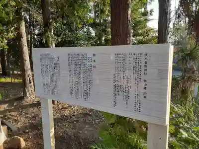 伏木香取神社の歴史