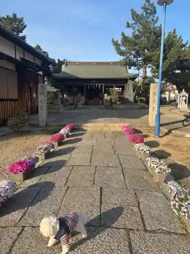 大年神社(兵庫県)