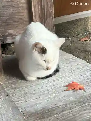 長岳寺(奈良県)