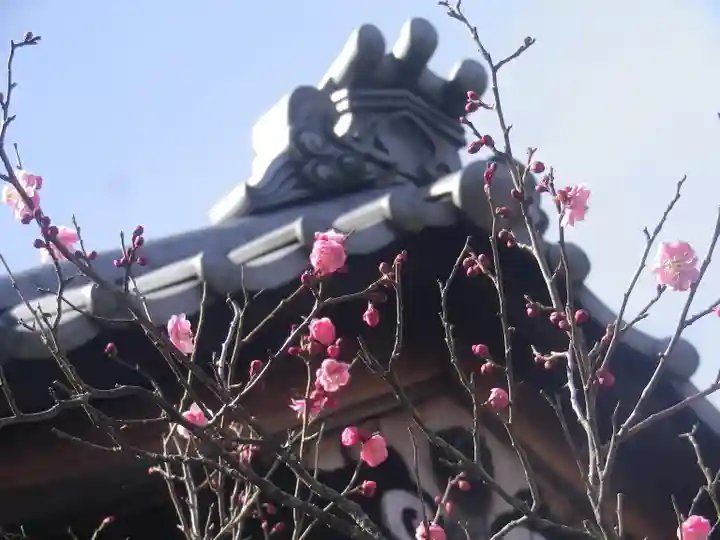 浄光明寺のその他建物