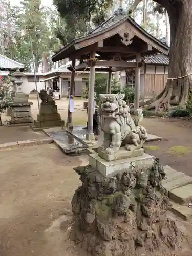 率土神社の狛犬