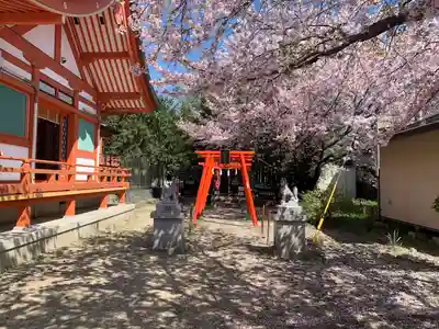 石和八幡宮(官知物部神社)(山梨県)