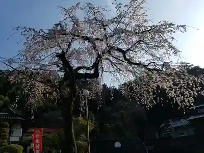 日蓮宗 総本山 塔頭 定林坊(じょうりんぼう)(山梨県)