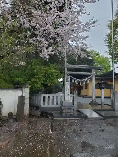 星宮神社(栃木県)