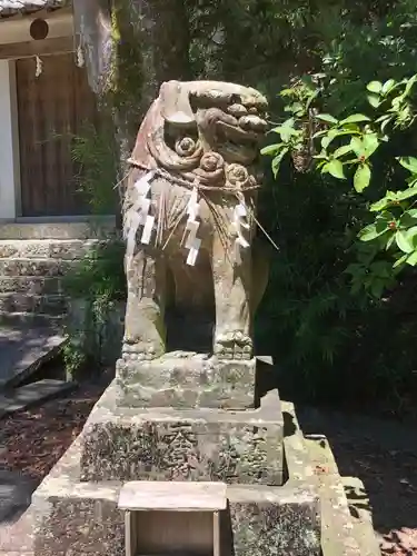 宇佐八幡神社の狛犬