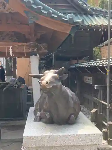 湯島天満宮の狛犬