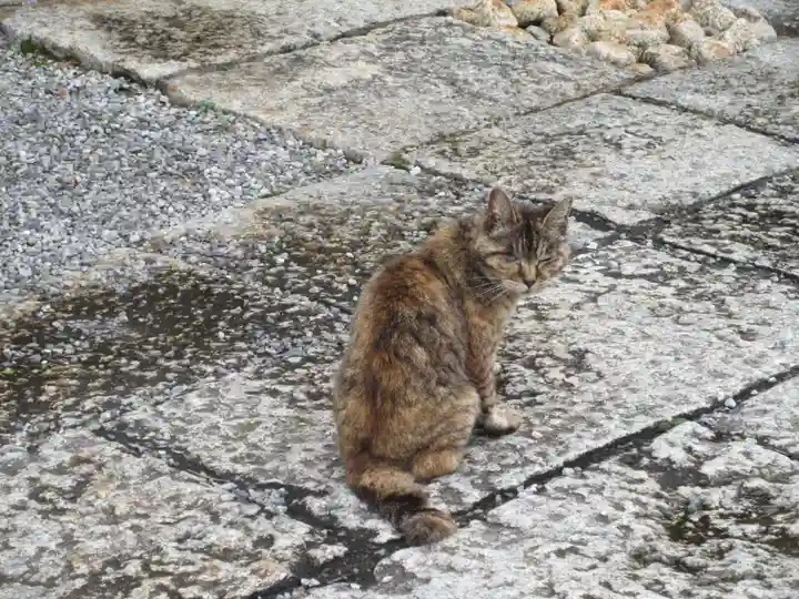 延命寺(栃木県)