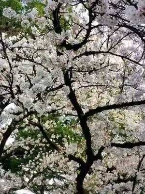 龍光寺(東京都)