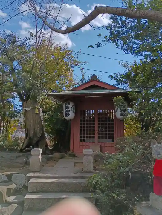 水戸東照宮(茨城県)