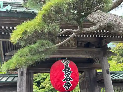 長谷寺の山門・神門