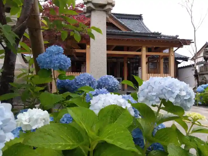 總社 和田八幡宮(福井県)
