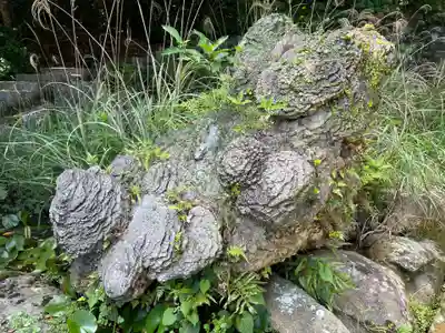 金剛福寺(高知県)