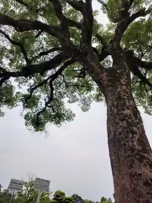 岡山神社の自然