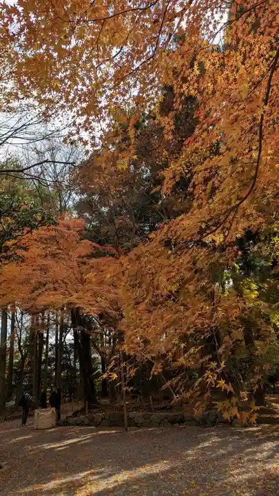 龍安寺(京都府)