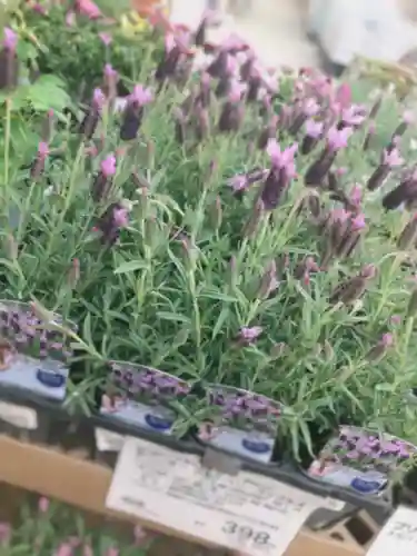 二柱神社の自然