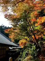 方廣寺の自然