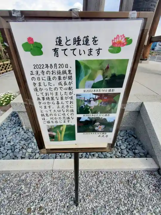 正光寺(埼玉県)