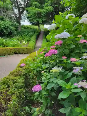 性海寺(愛知県)