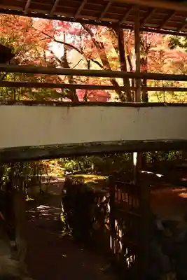 光悦寺(京都府)