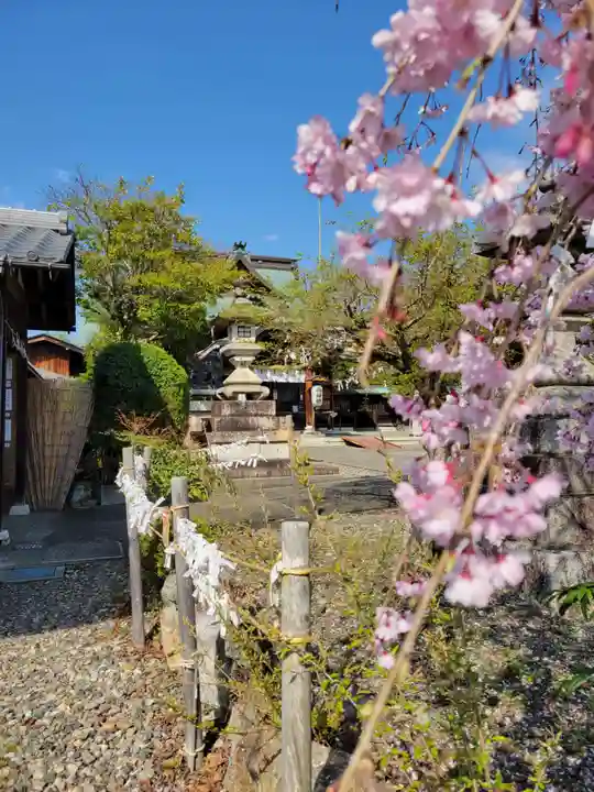 千代神社(滋賀県)