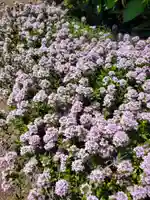 金福寺(福島県)